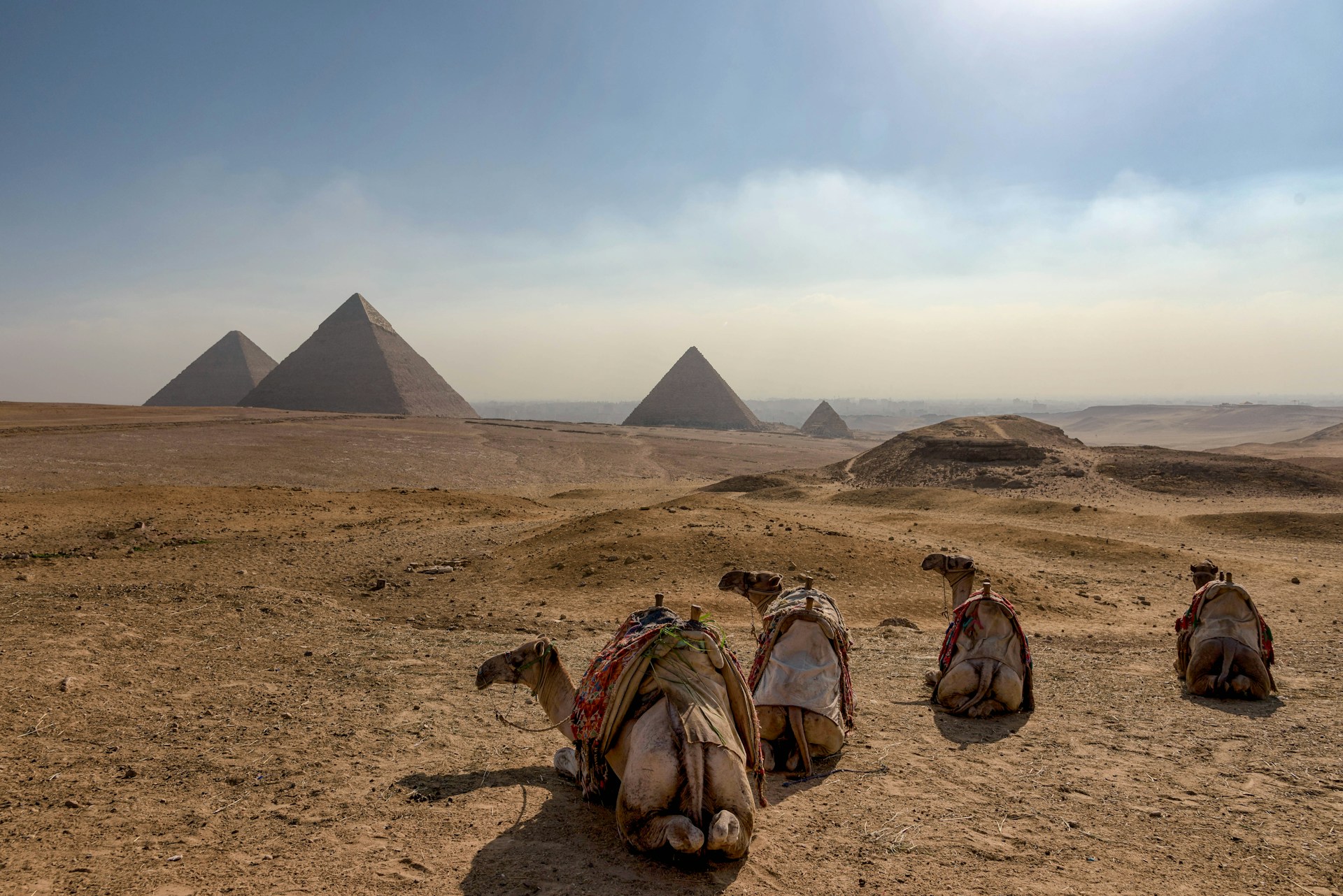 A tour group marveling at the Great Pyramids of Giza on an Egypt tour.